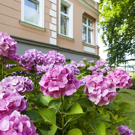 Hotel Ostseehotel Im Park - Ein Rovell