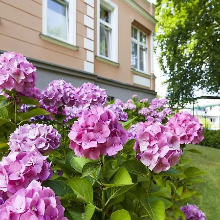 Ostseehotel Im Park - Ein Rovell 4*