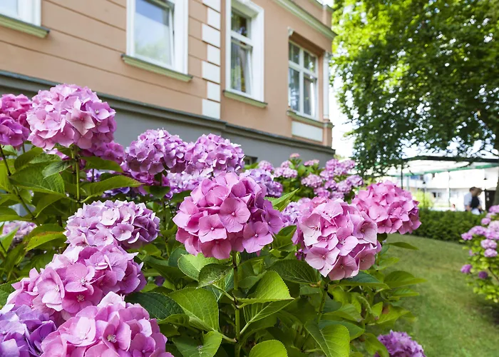 Hotel Ostseehotel Im Park - Ein Rovell