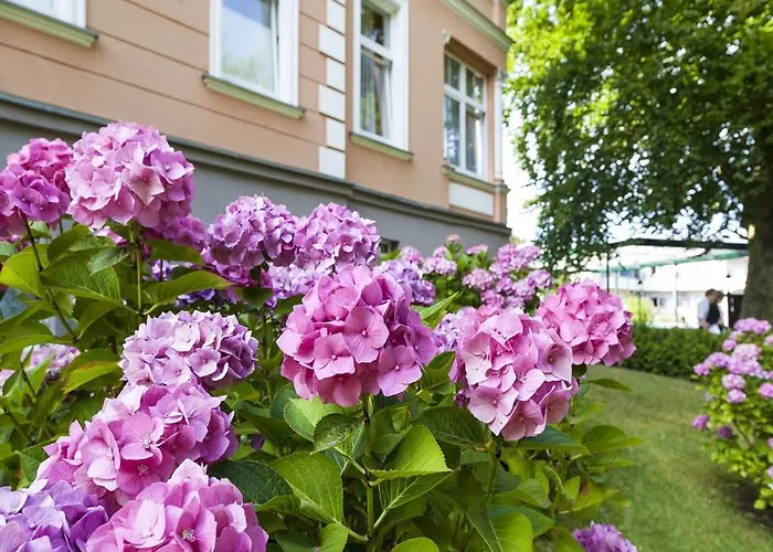 Ostseehotel Im Park - Ein Rovell 4*